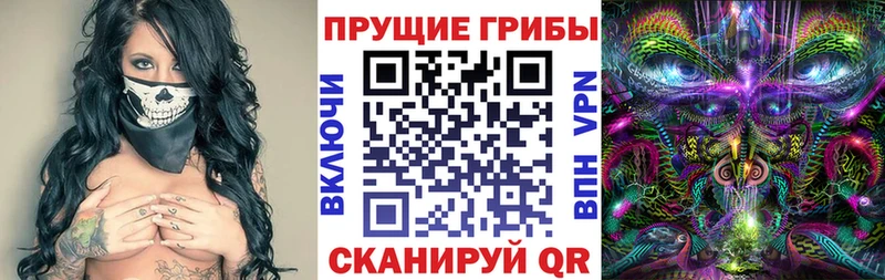 Купить закладки  Урень  Галлюциногенные грибы ЛСД 