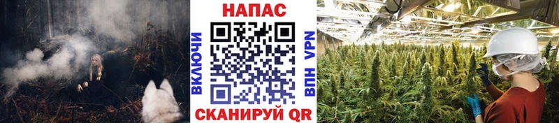 Бошки марихуана MAZAR  Купить где  Урень 